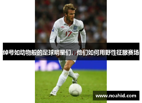 绰号如动物般的足球明星们，他们如何用野性征服赛场