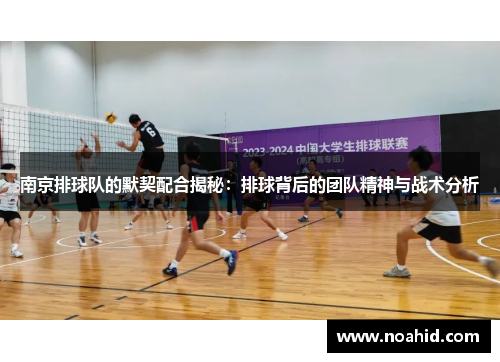 南京排球队的默契配合揭秘：排球背后的团队精神与战术分析