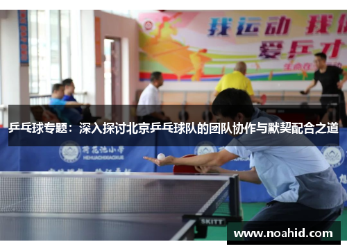 乒乓球专题：深入探讨北京乒乓球队的团队协作与默契配合之道