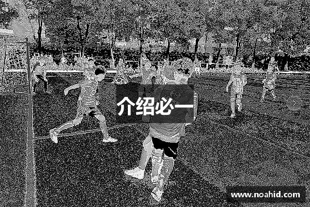 介绍必一